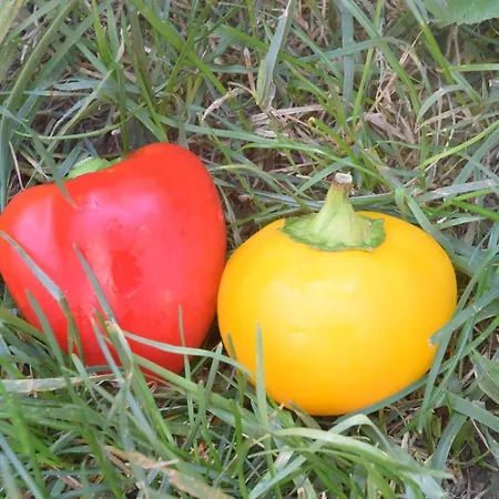 Cascina Piola Capriglio