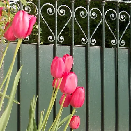 ベッド・アンド・ブレックファスト Cascina Piola Capriglio