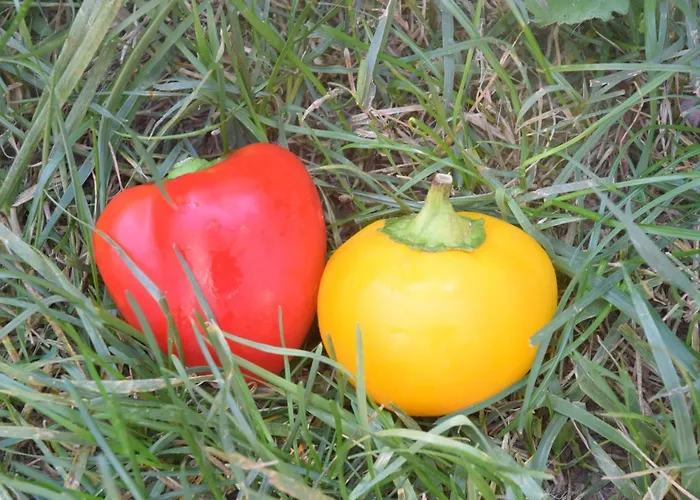 Cascina Piola Capriglio