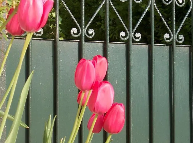 ベッド・アンド・ブレックファスト Cascina Piola Capriglio